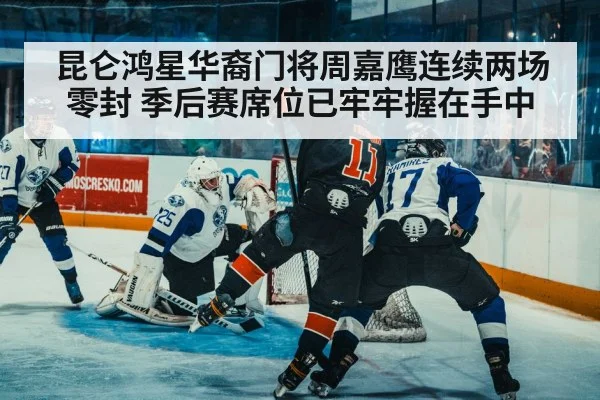ice hockey defense