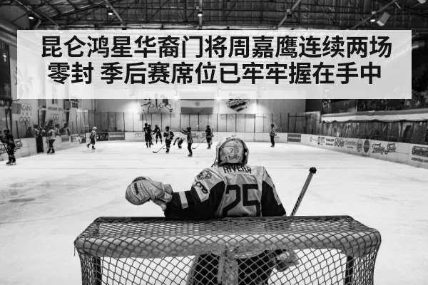 hockey arena action