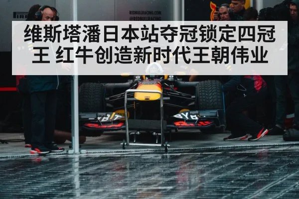 Red Bull Racing team celebration